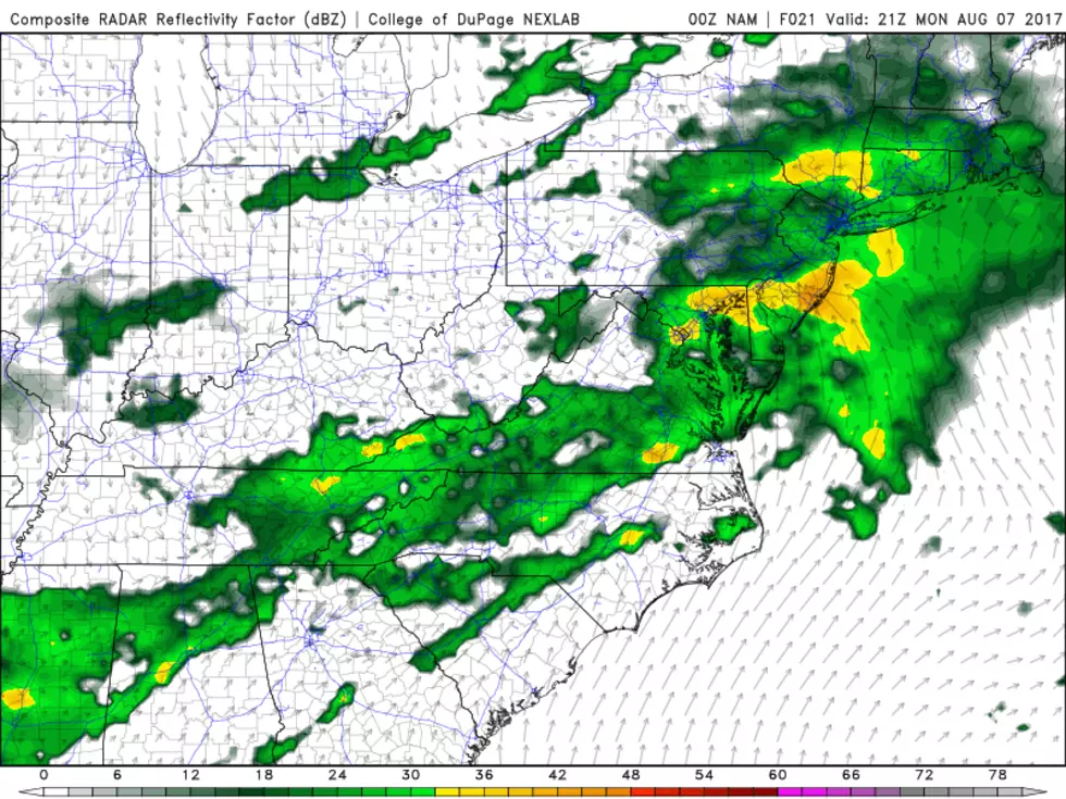 NAM model precipitation forecast for 5 p.m. Monday, likely to be the "brunt" of this rainstorm. (College of DuPage Meteorology)