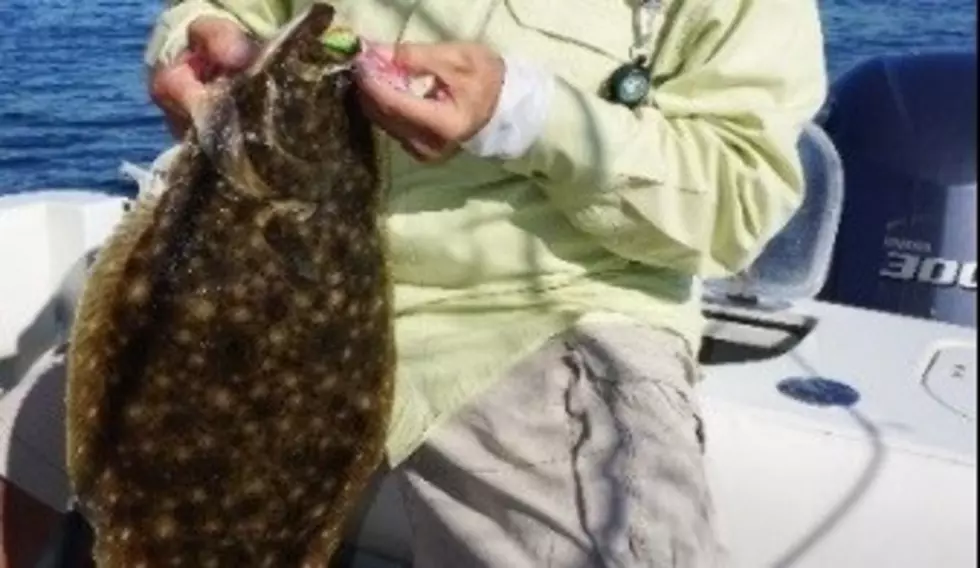 Is this New Jersey’s most beloved fish?