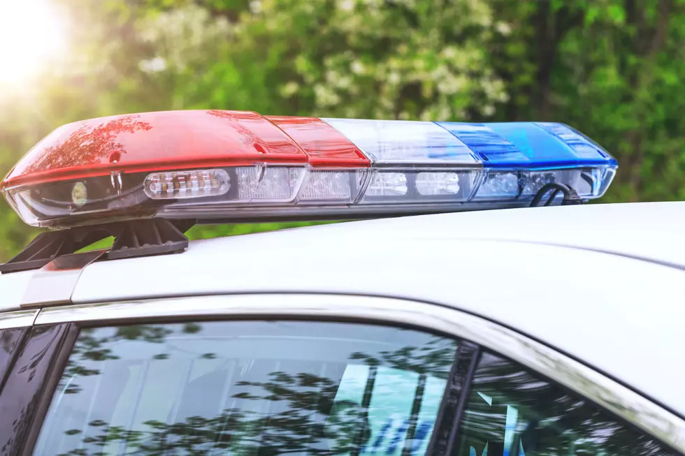 Suspicious death of a man and his dog under investigation in Burlington County, New Jersey