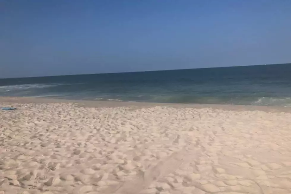 Jersey Shore Report for Thursday, July 16, 2020