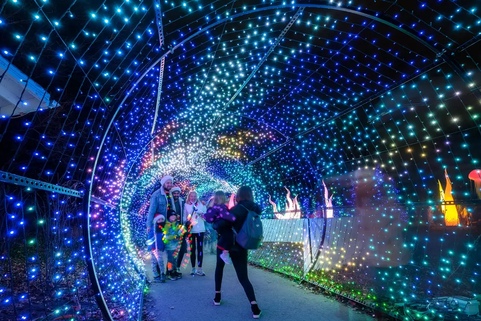 LumiNature Back at Philadelphia Zoo for the 2022 Holiday Season